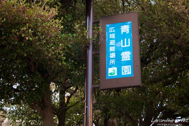 aoyama_graveyard- 001