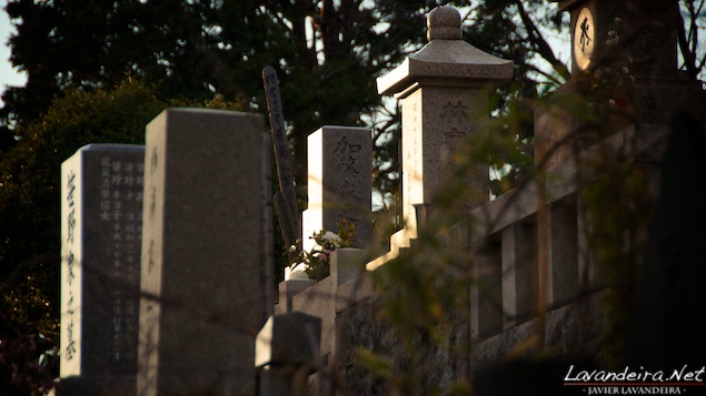 aoyama_graveyard- 002