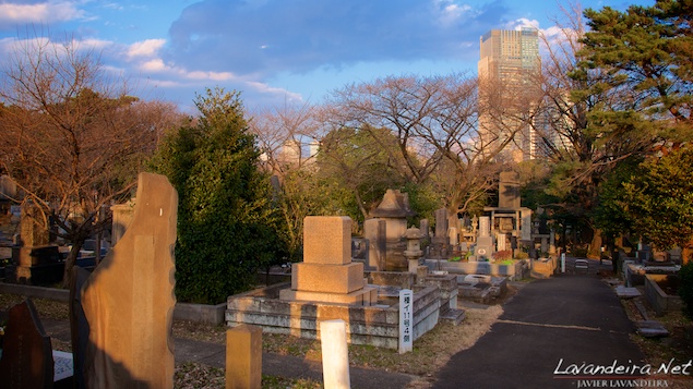 aoyama_graveyard- 004