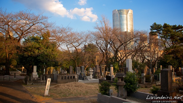 aoyama_graveyard- 005