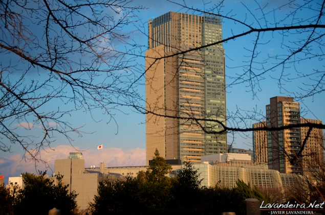 aoyama_graveyard- 007