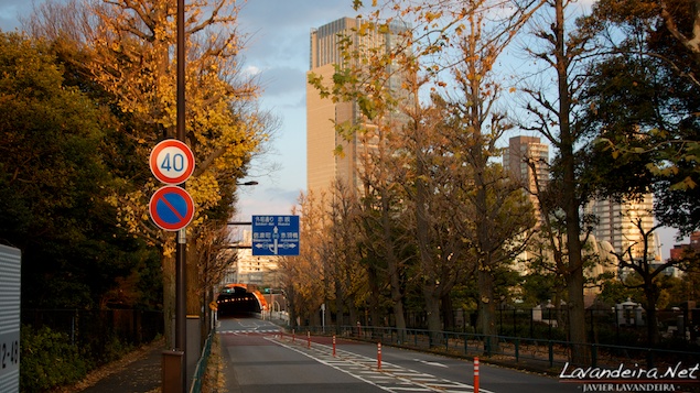 aoyama_graveyard- 008