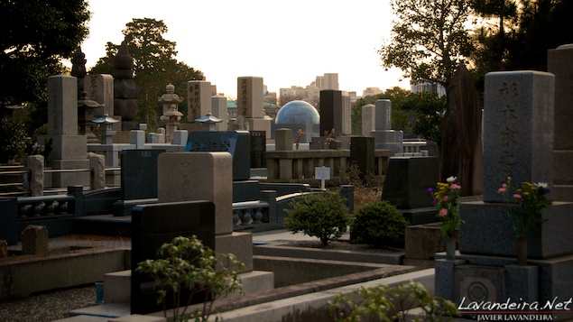 aoyama_graveyard- 013