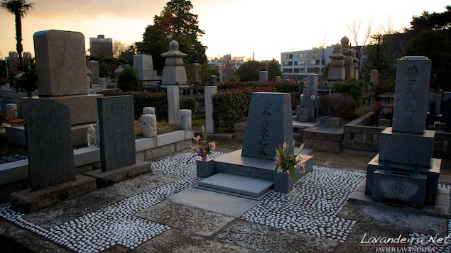 aoyama_graveyard- 015