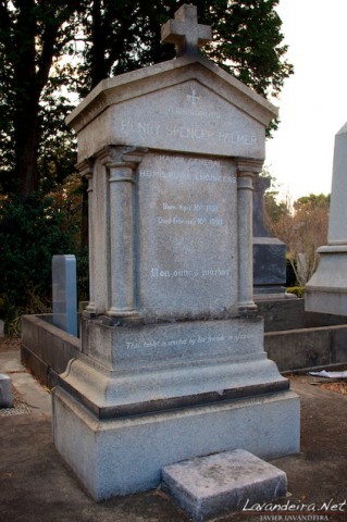 aoyama_graveyard- 018