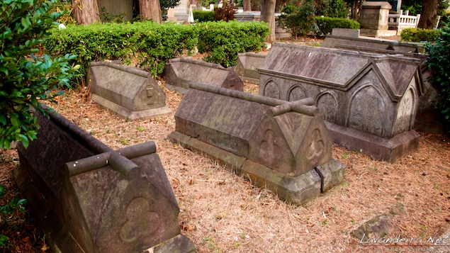 aoyama_graveyard- 024