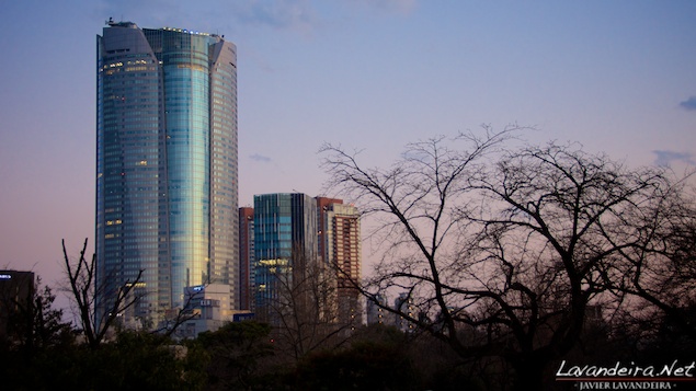 aoyama_graveyard- 031