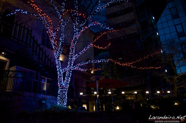 aoyama_graveyard- 032