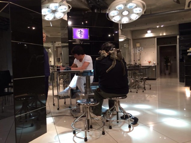 doctor_nomura_marmosets