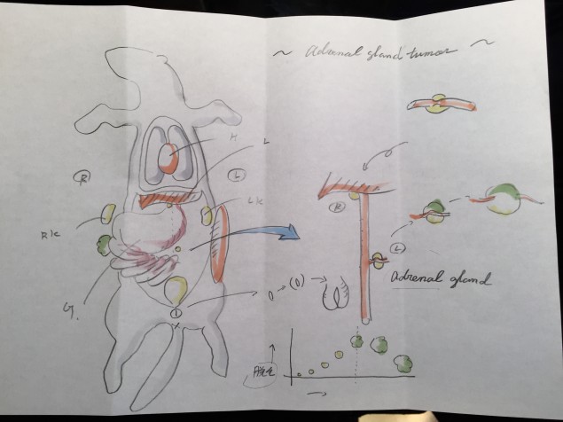 doctor_nomura_yuki_diagram